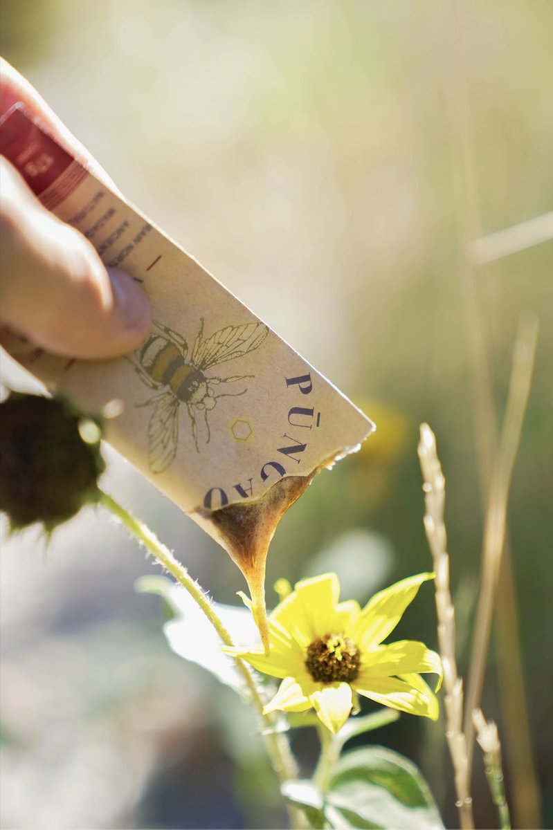 It’s finally here.

This is the cleanest Pre-Workout on the planet.

At long last…

Introducing: Vital Nectar 🧵