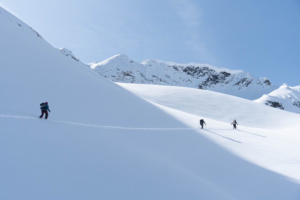 Blazing the trail. 
•
•

#skiing #skis #ski #winter #powder #snow #renoun #renounskis