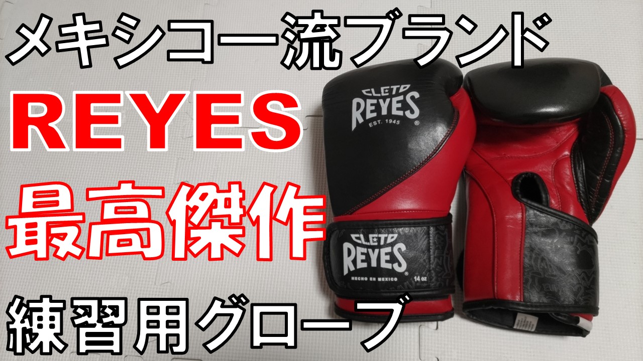 ボクシンググローブ レイジェス 本革 グローブ14oz ゴールド ボクシンググローブ レイジェス 本革 グローブ14oz ゴールド