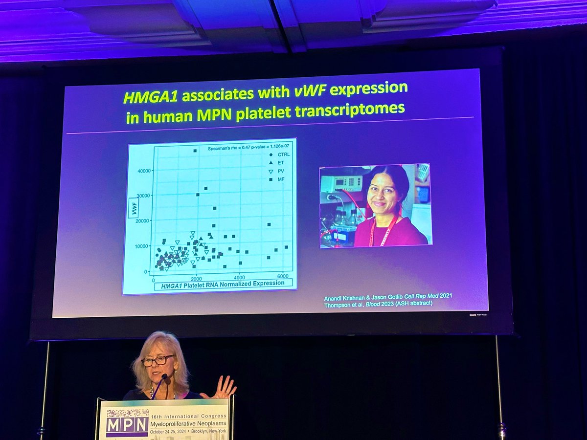 Naveen Pemmaraju, MD (@doctorpemm) on Twitter photo 👉👉👉Outstanding talks & discussions at 16th Intl MPN Congress! #MPNSM #CardioOnc || <a href="/AmiBPatelMD/">Ami Patel, MD</a> <a href="/TheElfLab/">Elf Lab 🇺🇦🏳️🌈🏳️⚧️⚧️👊🏾👊🏽🌈🟧</a> <a href="/LindaResar/">Linda Resar</a> <a href="/DrSFeldman/">Stephanie Feldman</a> <a href="/anandi_krishnan/">Anandi(she/her) @anandikrishnan.bsky☮️🇮🇳🇺🇸</a> <a href="/mpdrc/">Ruben A. Mesa, MD</a> <a href="/PedsHemeDoc/">PedsHemeDoc</a> <a href="/Dr_Mike_Fradley/">Mike Fradley, MD</a> 👉👉👉Outstanding talks & discussions at 16th Intl MPN Congress! #MPNSM #CardioOnc || <a href="/AmiBPatelMD/">Ami Patel, MD</a> <a href="/TheElfLab/">Elf Lab 🇺🇦🏳️🌈🏳️⚧️⚧️👊🏾👊🏽🌈🟧</a> <a href="/LindaResar/">Linda Resar</a> <a href="/DrSFeldman/">Stephanie Feldman</a> <a href="/anandi_krishnan/">Anandi(she/her) @anandikrishnan.bsky☮️🇮🇳🇺🇸</a> <a href="/mpdrc/">Ruben A. Mesa, MD</a> <a href="/PedsHemeDoc/">PedsHemeDoc</a> <a href="/Dr_Mike_Fradley/">Mike Fradley, MD</a>