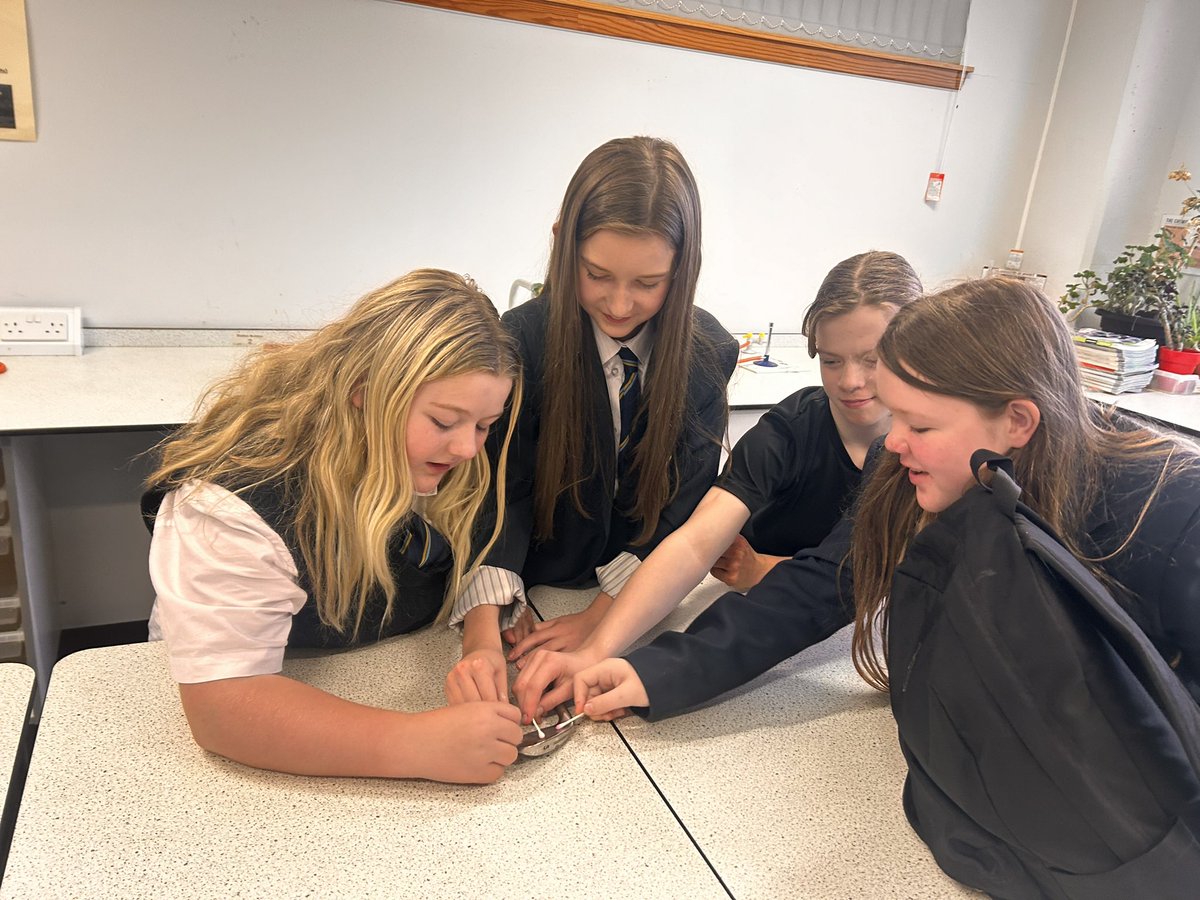 Clyde Valley Science tweet media