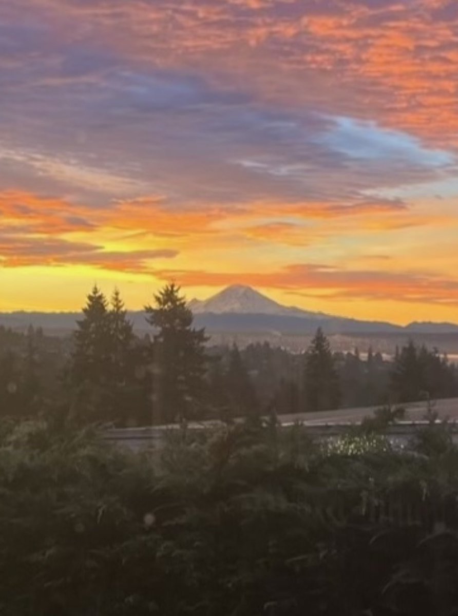JoanieVee1's tweet photo. Sent this picture of Mt. Rainier from my deck to the designer &amp; told him we’re looking at the REAL “Morning in America” by electing #HarrisWalz.

I wanted the poster to reflect &amp; celebrate that.

Loving the result! He used my sunrise photo. 🤩😍 https://t.co/OJqCE2jtq2