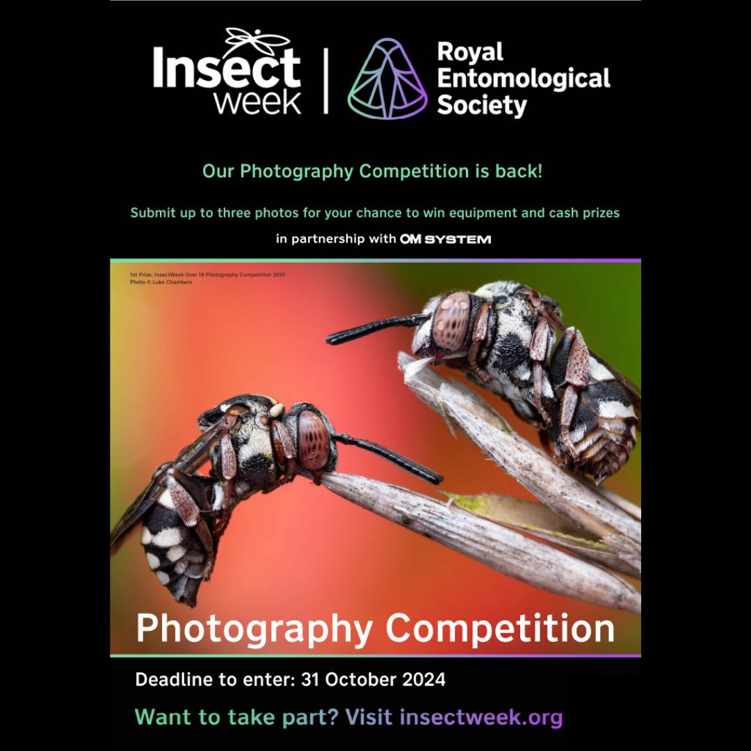 AES - amentsoc.org (@amentsoc) on Twitter photo Hurry! You have less than a week to get your entries in to the <a href="/insectweek/">Insect Week</a> Week Art and Photography Competitions! 🪳🐜🦋🦟🪰🐛🐝🪲🐞🦗 Hurry! You have less than a week to get your entries in to the <a href="/insectweek/">Insect Week</a> Week Art and Photography Competitions! 🪳🐜🦋🦟🪰🐛🐝🪲🐞🦗