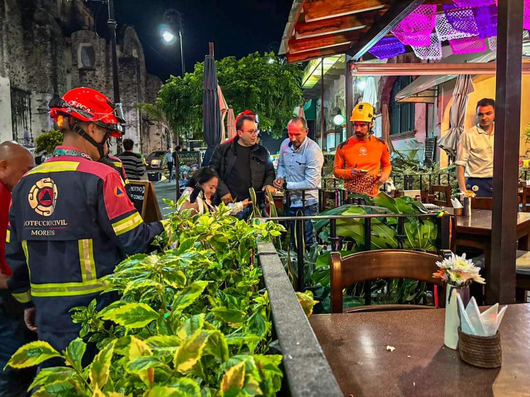 asistieron para llevar a cabo el dictamen de su colapso‚ por lo que los expertos determinaron que la causa fue derivada de un hongo que invadió y fue desgastando el árbol🌳 con el paso de los años.