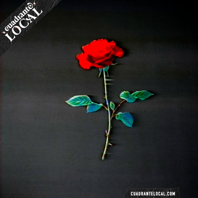 CuadranteLocal's tweet image. 🎵 Muchacho Satánico por Happy-Fi en el #playlistcuadrantelocal #músicaemergente 🇲🇽 #Spotify #🔊 #Music #Song #Art #Follow #Playlist #Indie #Artist #Love #Life #México  👉🏼 cuadrantelocal.com/artes/musica/p…