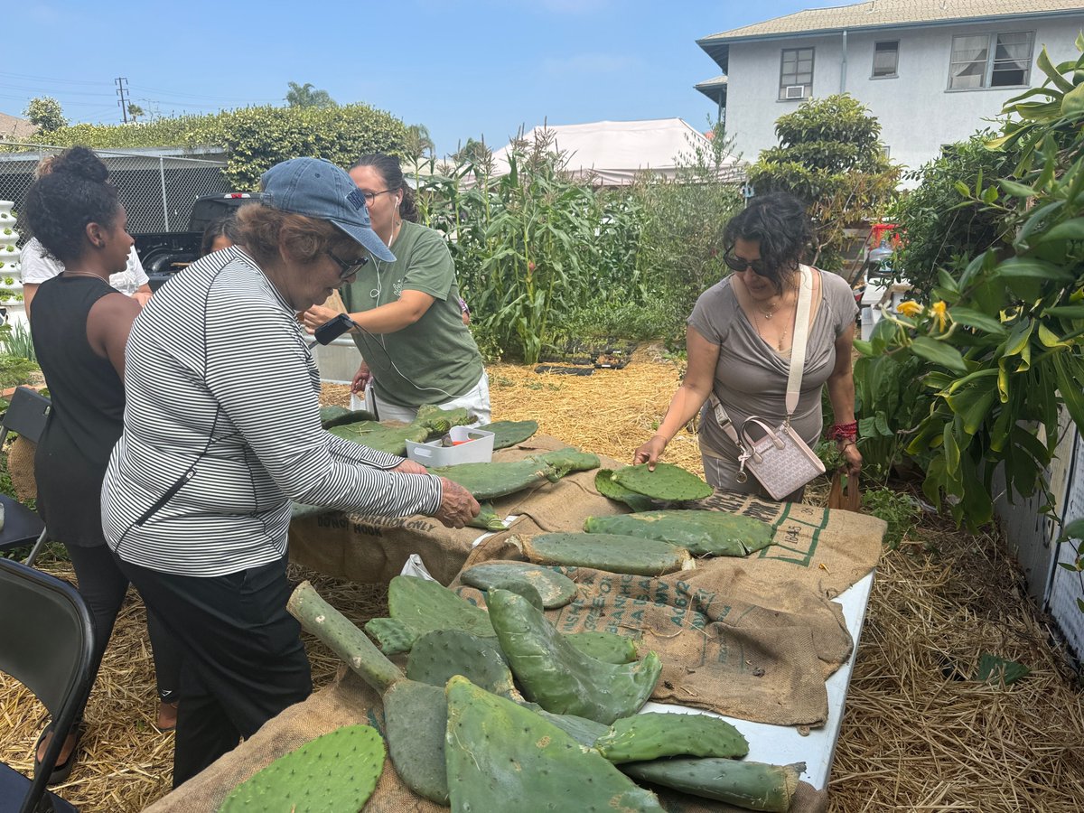 Community Corporation of Santa Monica tweet media