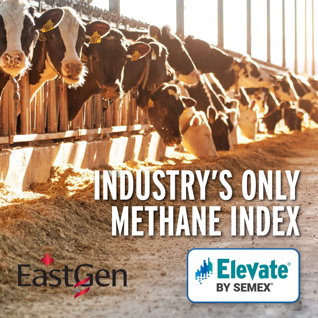 EastGen (@eastgengenetics) on Twitter photo ๐๐๐ก๐๐๐๐ฌ. ๐ง๐๐ ๐๐๐ก๐ข๐ ๐๐ ๐ง๐๐ฆ๐ง ๐ฌ๐ข๐จโ๐ฉ๐ ๐๐๐๐ก ๐ช๐๐๐ง๐๐ก๐ ๐๐ข๐ฅ.
If youโre looking to 2050 you need Elevateยฎ to give you your exclusive female methane results!
Consult your EastGen rep.
#EastGen #investedinyourfuture #elevateyourherd #genomics #semexgfl ๐๐๐ก๐๐๐๐ฌ. ๐ง๐๐ ๐๐๐ก๐ข๐ ๐๐ ๐ง๐๐ฆ๐ง ๐ฌ๐ข๐จโ๐ฉ๐ ๐๐๐๐ก ๐ช๐๐๐ง๐๐ก๐ ๐๐ข๐ฅ.
If youโre looking to 2050 you need Elevateยฎ to give you your exclusive female methane results!
Consult your EastGen rep.
#EastGen #investedinyourfuture #elevateyourherd #genomics #semexgfl