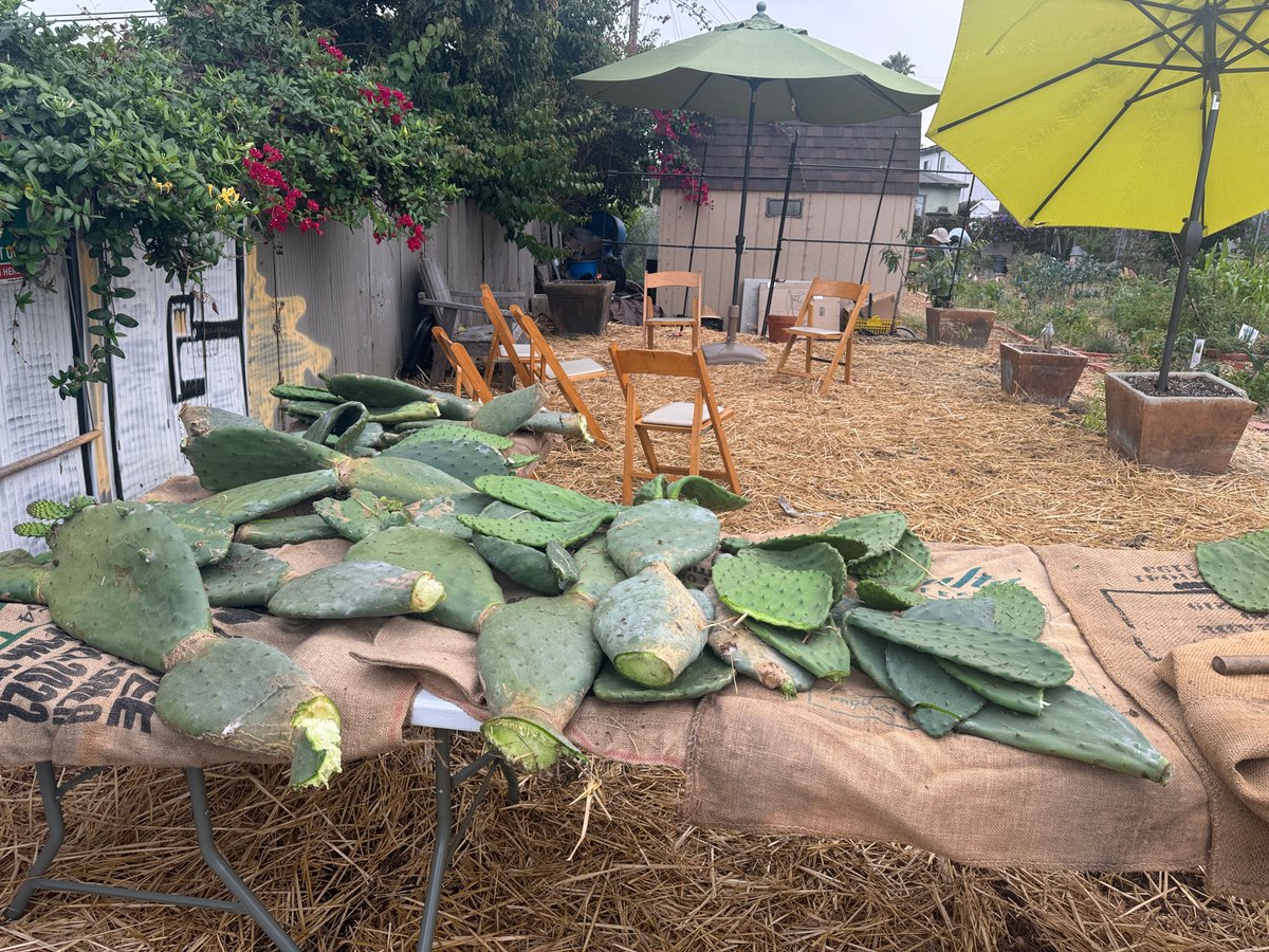 Community Corporation of Santa Monica tweet media