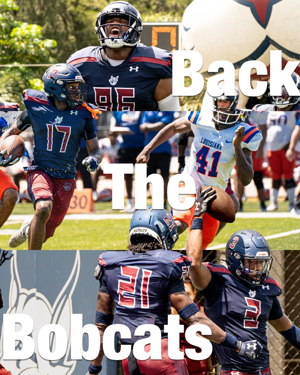 STU Athletics tweet media