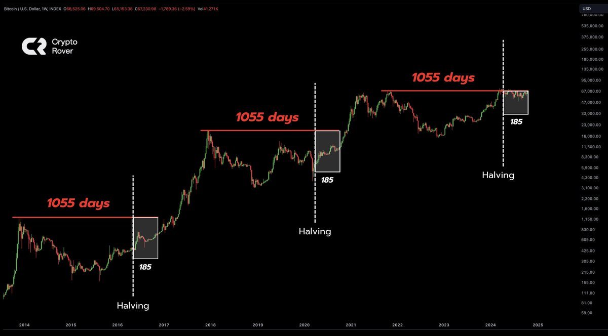 The #Bitcoin bull market starts NOW! 185 days after the $BTC halving.