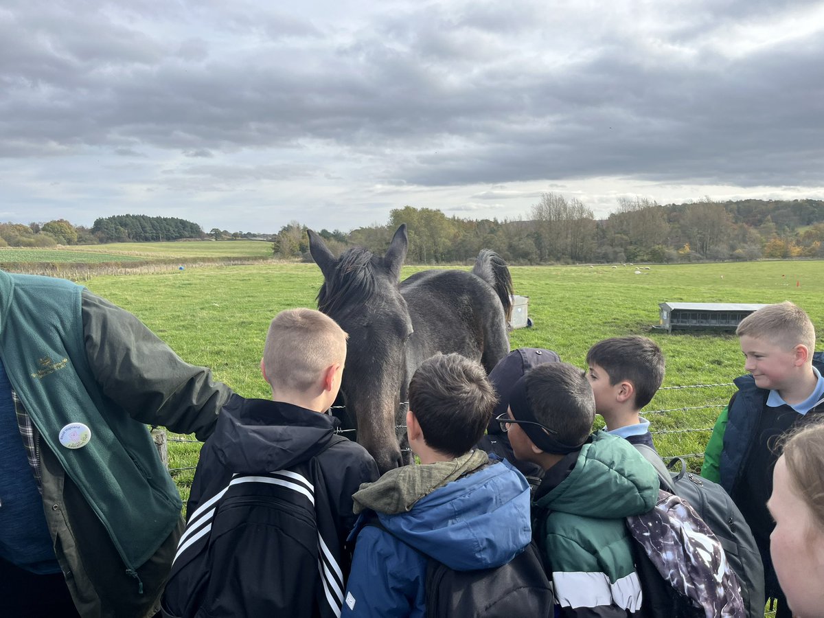 P6/5 had a fantastic trip to Trinlaymire farm on Wednesday. We found out lots of information about where our sources of food come from and how the farmers work hard to get it from the farm to our plates! 🚜