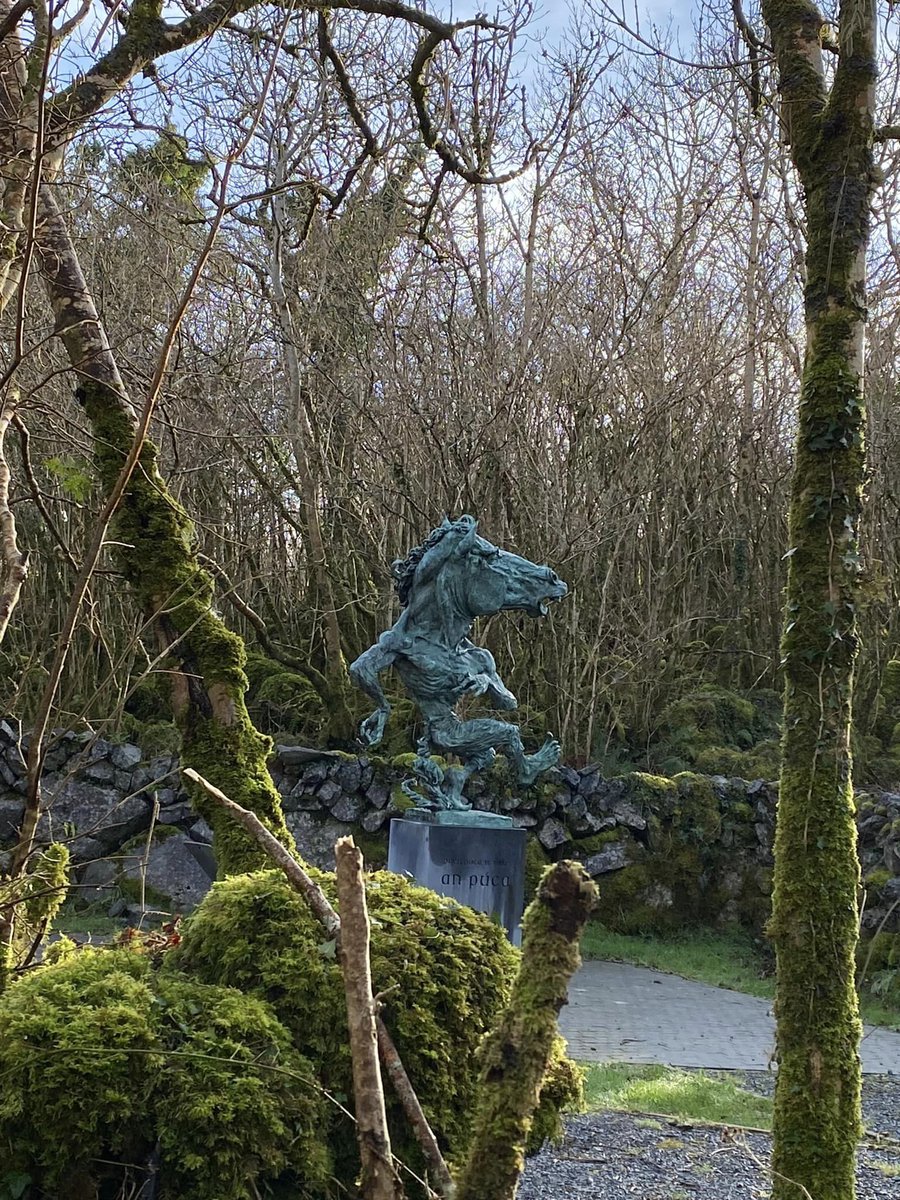 Doolin Tourism | Doolin.ie tweet media