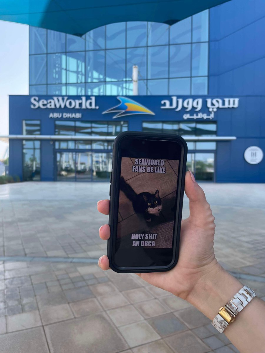 SeaWorld4You's tweet photo. I made it Guy's . international cat of SeaWorld https://t.co/fhrBfUXj68