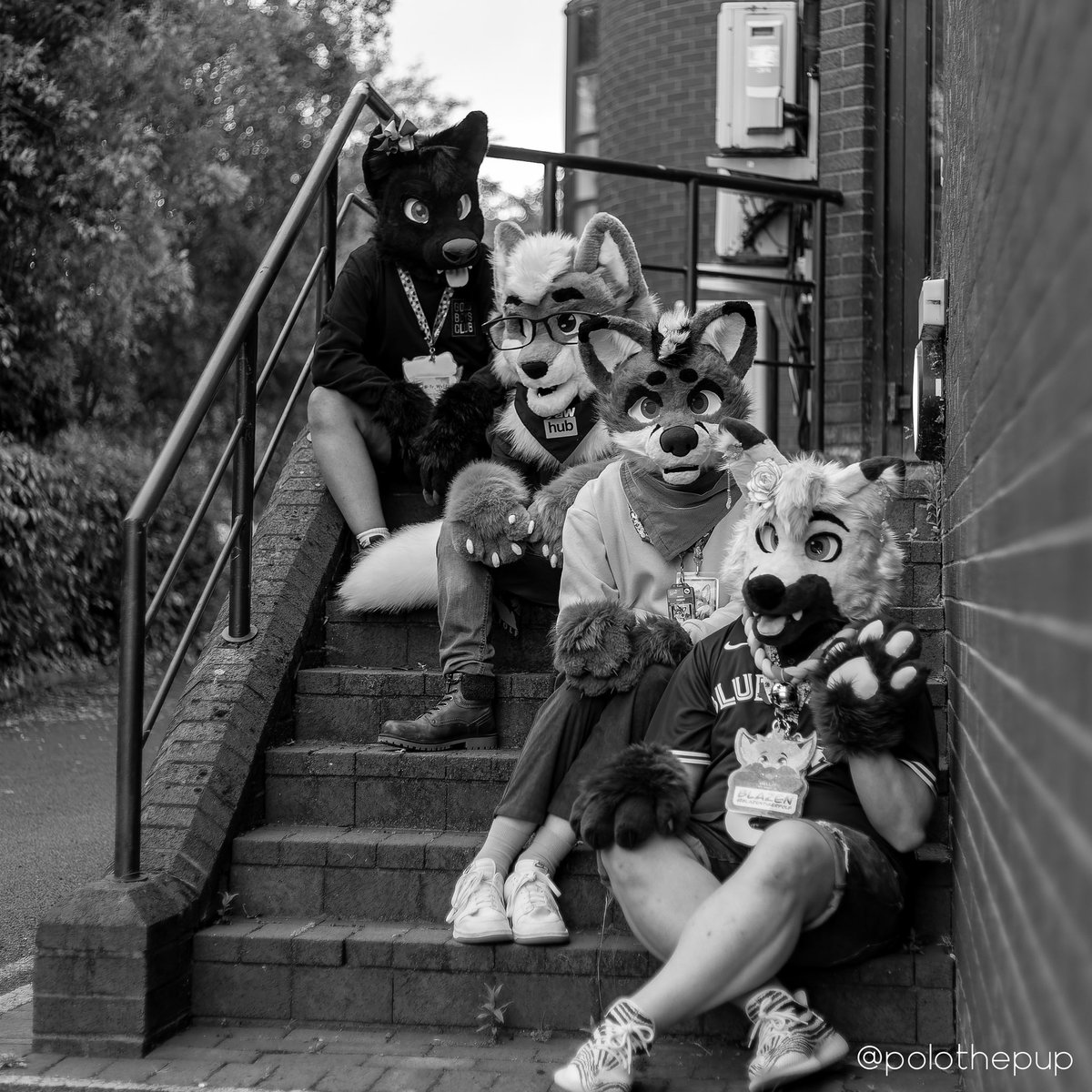 πΈπBlazenππΈ π CFz#787 (@blazentigerfolf) on Twitter photo Introducing the world to the newest fluffiest rock band! We have a Fox, a Bowdog, and then itβs doubletrouble of Folfs too ππ
Happy #FursuitFriday everyone ππΌ Mega excited to see my besties tomorrow, the 3 below and an adorable derg ππ
πͺ‘: <a href="/HouseOfCardsFur/">β οΈ House Of Cards Fursuits β οΈ</a>
πΈ: <a href="/polothepup/">Polo β‘οΈ πβοΈ</a> Introducing the world to the newest fluffiest rock band! We have a Fox, a Bowdog, and then itβs doubletrouble of Folfs too ππ
Happy #FursuitFriday everyone ππΌ Mega excited to see my besties tomorrow, the 3 below and an adorable derg ππ
πͺ‘: <a href="/HouseOfCardsFur/">β οΈ House Of Cards Fursuits β οΈ</a>
πΈ: <a href="/polothepup/">Polo β‘οΈ πβοΈ</a>