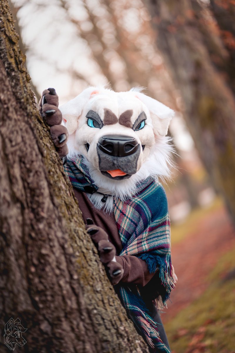 I saw what you did.. 👀
#FursuitFriday 

📷 <a href="/vlaaacek/">VlaceK</a> 
🪡 @LomonosovFur