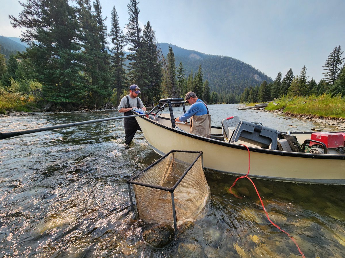 This fall <a href="/MontanaFWP/">Montana FWP</a> conducted a stock assessment in the Upper Gallatin River to characterize the trout population here 🐟📊 We're excited to learn about their findings once they’ve been analyzed &amp; see how this data compares to past years. 📸: <a href="/MontanaFWP/">Montana FWP</a>