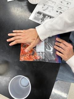 DVUSD Pathways tweet media