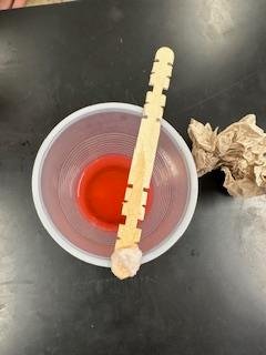 DVUSD Pathways tweet media