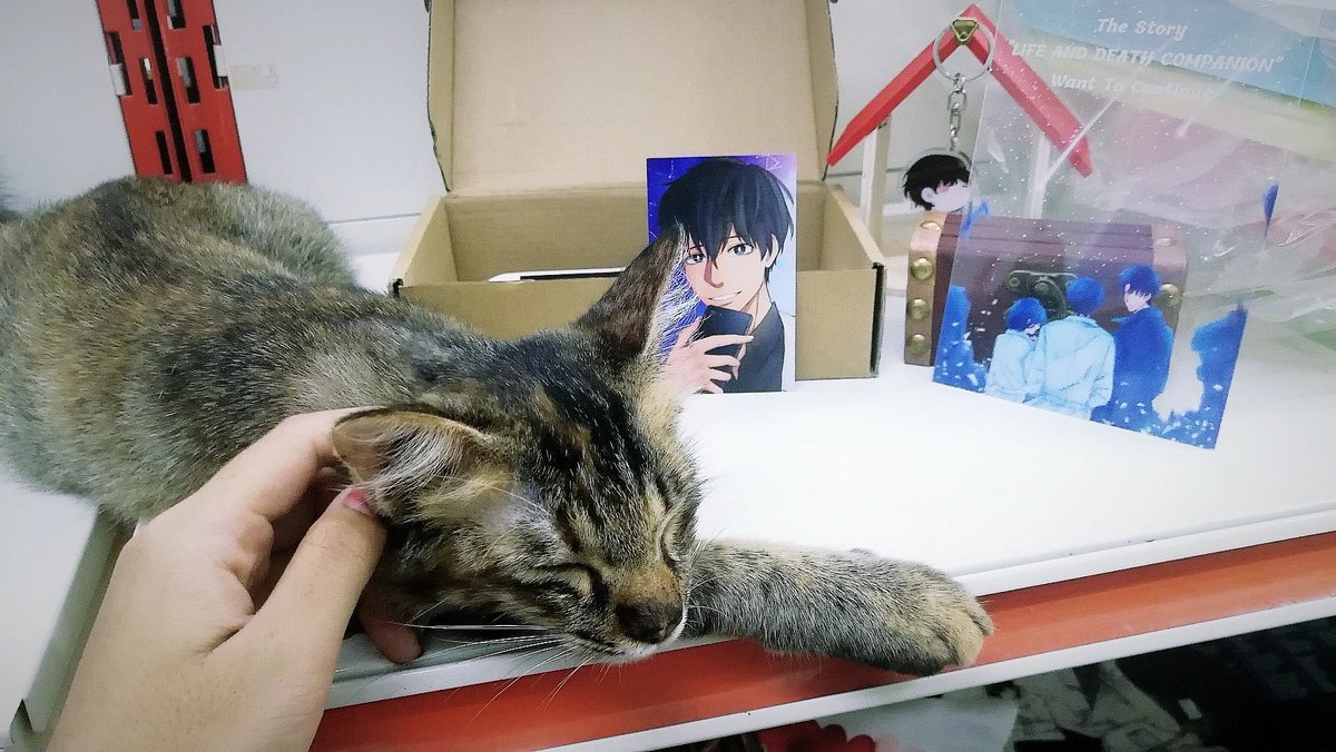 ReadingRIM's tweet photo. https://t.co/iqWGEGaRmd