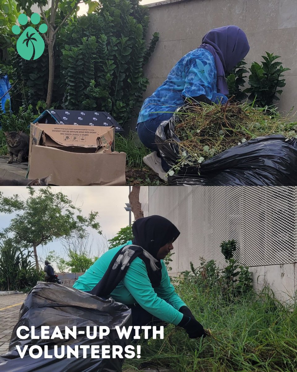 WICmvofficial's tweet photo. Prior to installing the cat houses, we organized a major cleanup of the parking lot. 🧹🪣 

A heartfelt thank you to our amazing volunteers who showed up to help tackle this mission. 💞✨ https://t.co/25XpPgXzLL