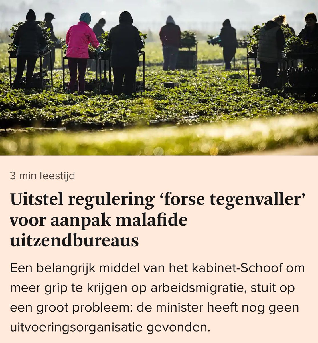Het kabinet van loze beloftes.

Vandaag maakte het kabinet bekend dat de wet die arbeidsmigratie in goede banen kan leiden voor de TWEEDE keer wordt uitgesteld.

Als er één spoedwet echt nodig is, dan is het deze. Om uitbuiting en overlast met arbeidsmigratie aan te pakken