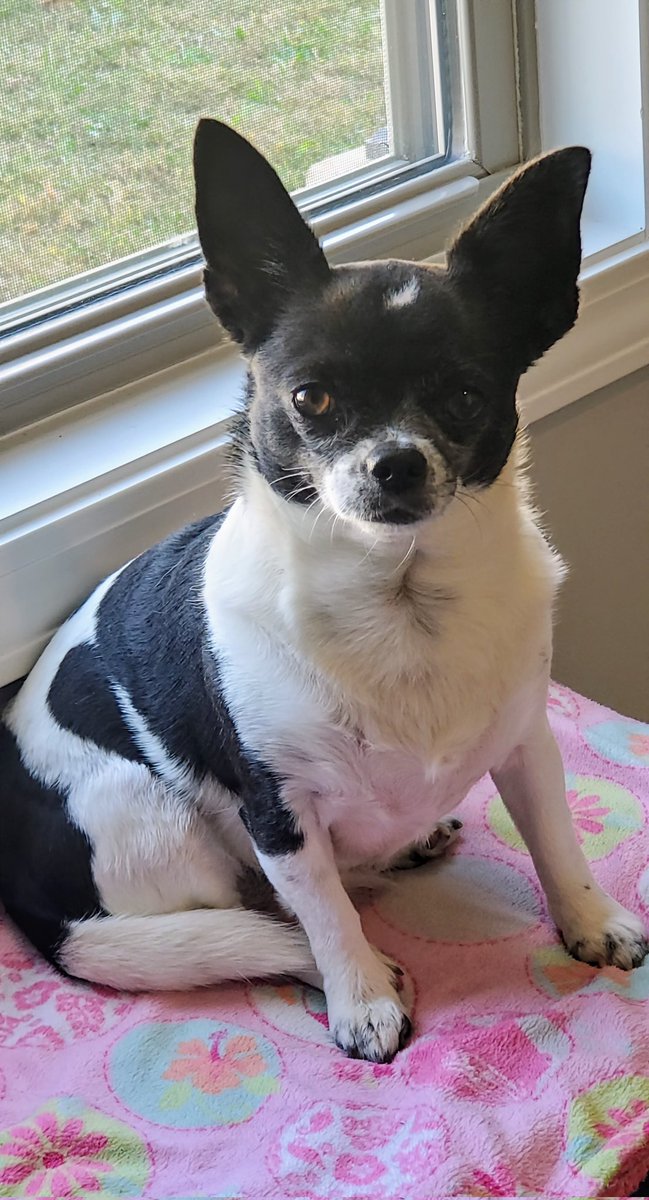 Doc🌈😇 & Luna's Mommy tweet media