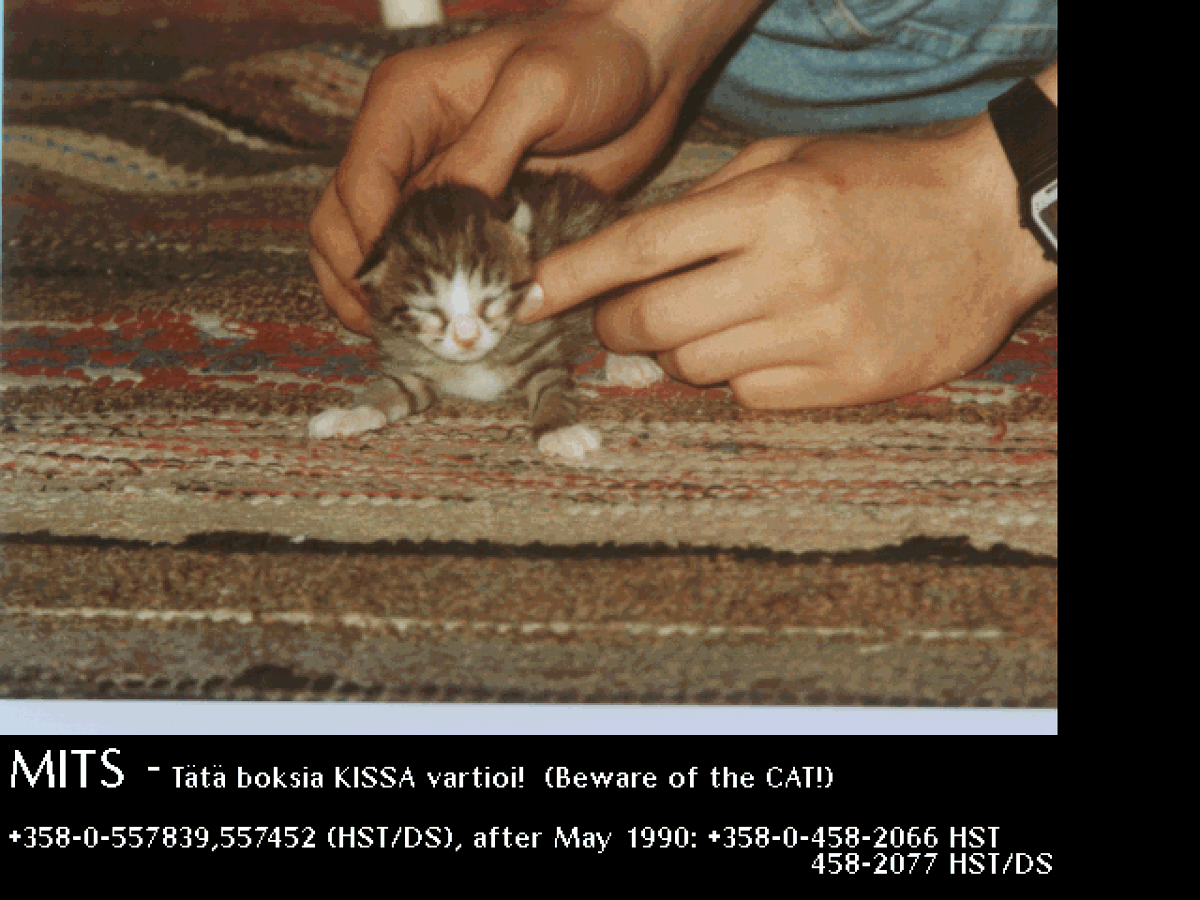 CATS/MITS04.GIF