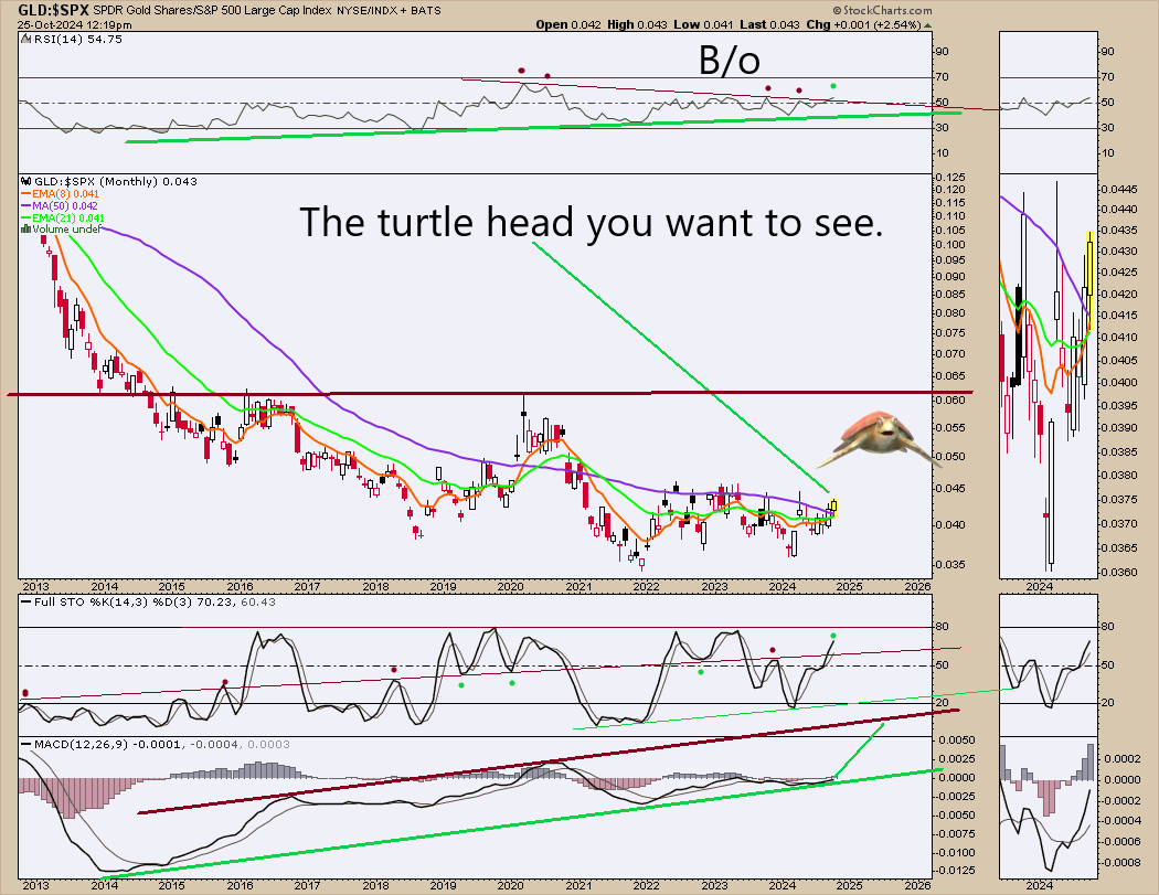edwardsibl91034's tweet photo. @badcharts1 Guys the turtles are here #gold #gld #slv #silversqueeze #silver #turtlehead #whalesloadinggold #sellspxbuygld https://t.co/3qkvBcuqFh