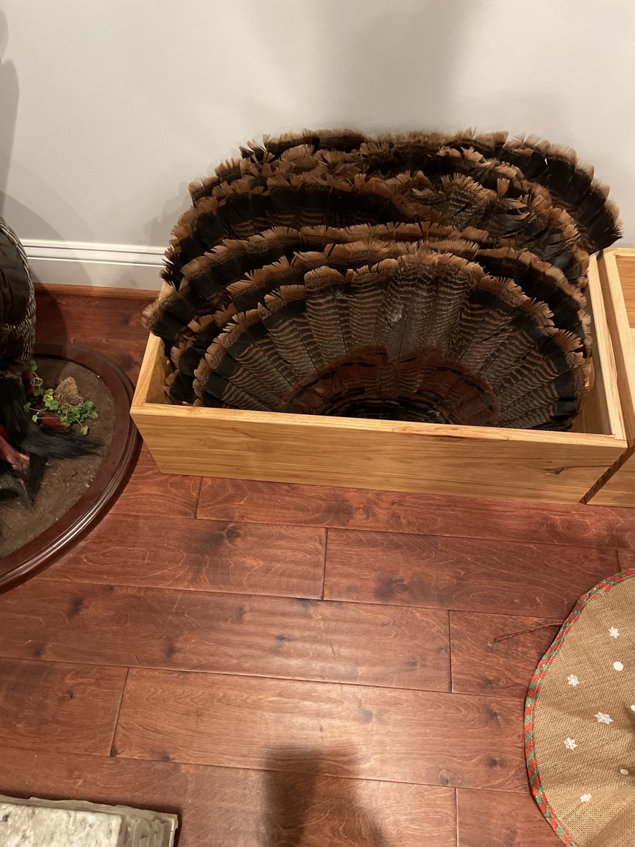 GreenDuckCustom's tweet image. My wife remarked: "Someone wants you to build them a box?"  I said, in response: "Well, it's technically a bin and the client wants a rustic natural classy hardwood look."  After no response from her, I remarked, "Fine.  It is a box....without a top."

And, from here, "The Bin"…