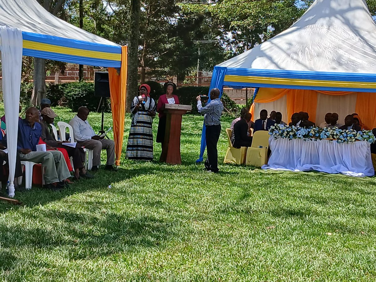 Triumph Mental Health Support (TRIUMPH) tweet media