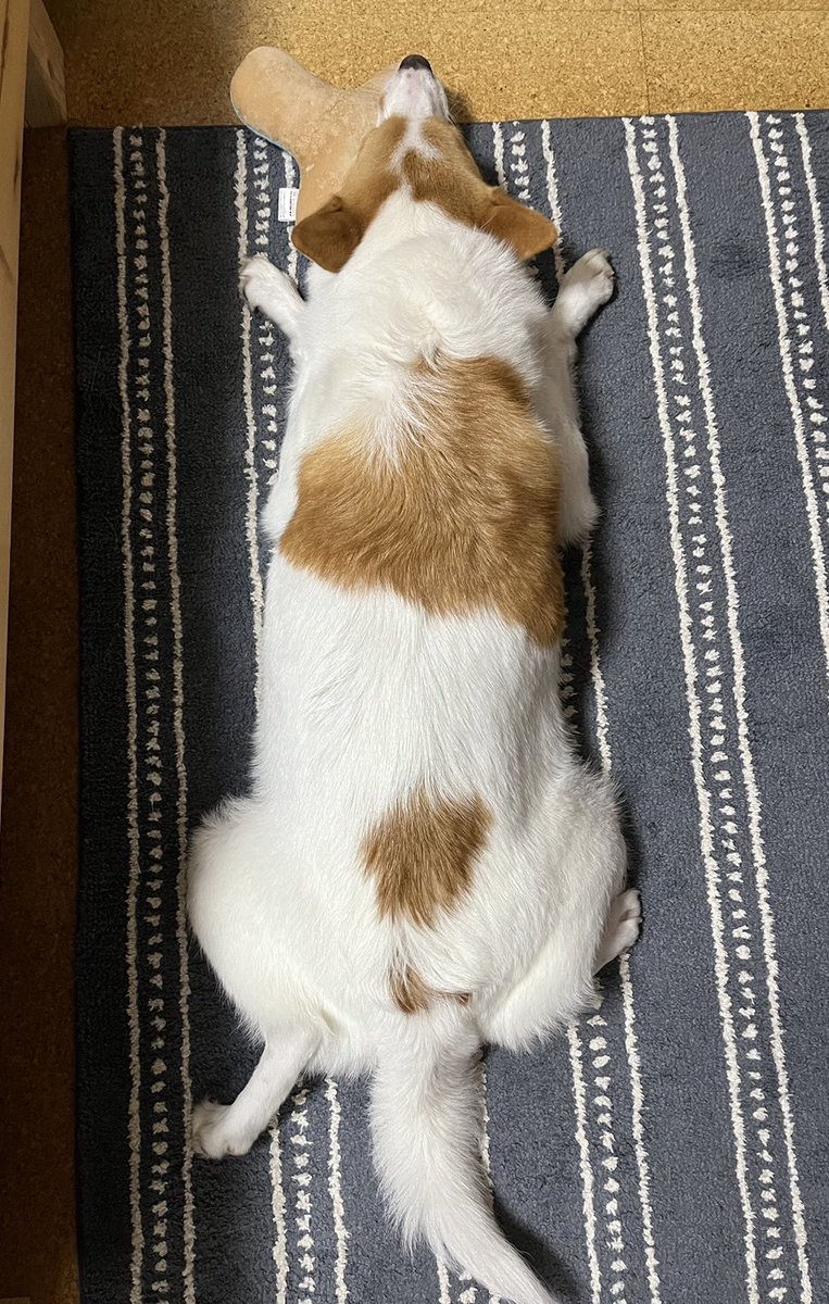 inullnuit (@inullnuit) on Twitter photo 