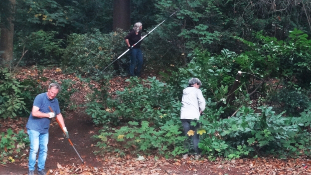 Vrijwilligers onderhouden Patersbos met plezier: ‘Ideale workout in de natuur’ -  internetbode.nl/halderberge/l/…