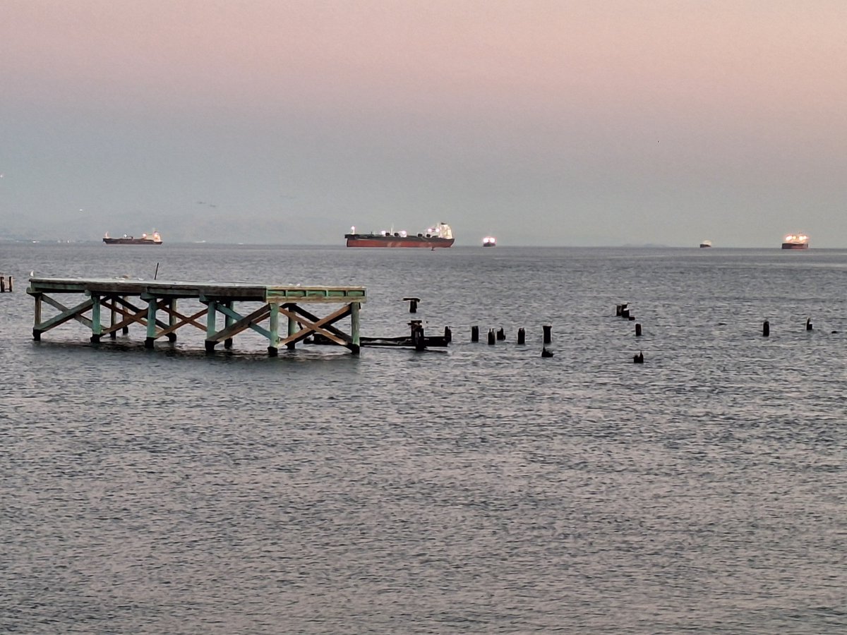 Photos I took at San Francisco's new Bayfront Park yesterday.