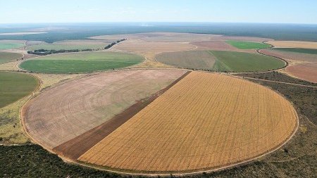 AgenciaFAPESP's tweet photo. Uso excessivo de água no #Matopiba pode comprometer até 40% da demanda agrícola local por #irrigação, aponta pesquisa conduzida por cientistas do @inpe_mcti. https://t.co/O6yeqKtXgg https://t.co/OheZ03Lc2t