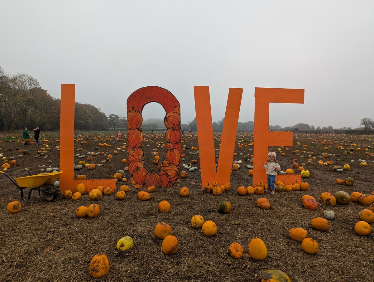 My little pumpkin pickers! 🎃🍂🍁 #pumpkins #pumpkinpickers #autumnvibes #autumn <a href="/kylesufc/">Kyle Campbell</a>