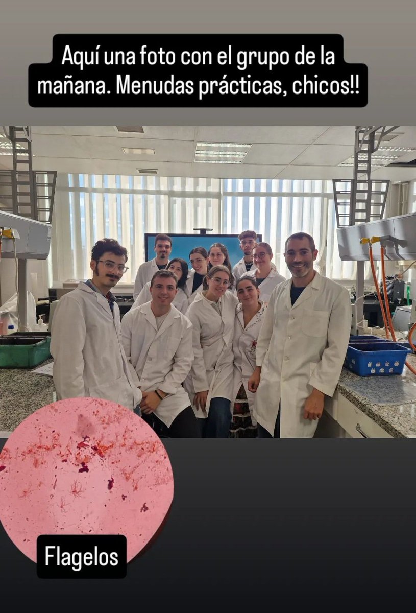MyxoUGR's tweet photo. https://t.co/sMAdGmBkTF