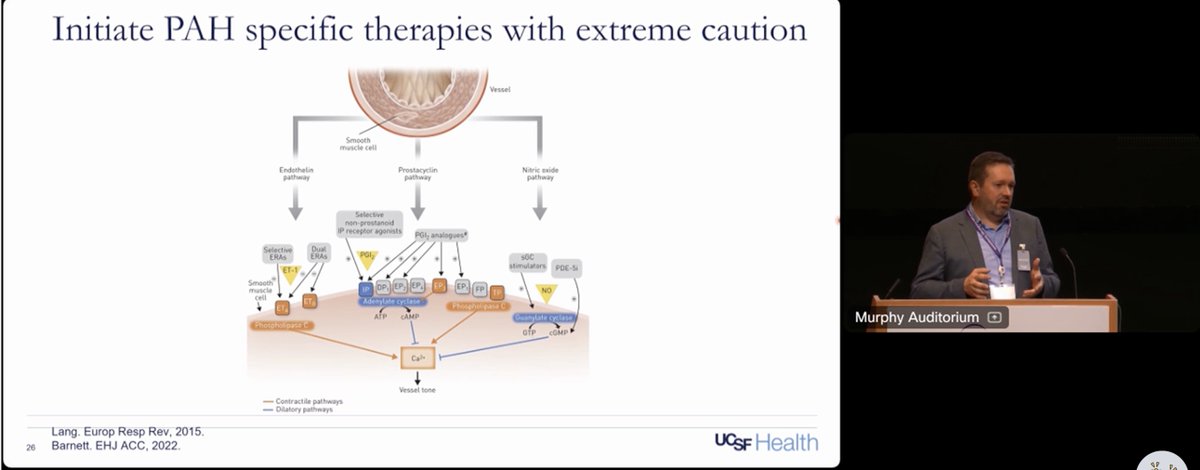 𝙟𝙤𝙨𝙝 𝙛𝙖𝙧𝙠𝙖𝙨 💊 (@pulmcrit) on Twitter photo <a href="/ChrisBarnettMD/">Christopher Barnett MD, MPH, FACC</a> Inhaled pulm vasodilators may be helpful more broadly.
dedicated PH therapies may be used in very highly selected patients (select types of PH). Data outside of specific types of PH is generally nonbeneficial.
- <a href="/ChrisBarnettMD/">Christopher Barnett MD, MPH, FACC</a> at #critcarecards24 <a href="/ChrisBarnettMD/">Christopher Barnett MD, MPH, FACC</a> Inhaled pulm vasodilators may be helpful more broadly.
dedicated PH therapies may be used in very highly selected patients (select types of PH). Data outside of specific types of PH is generally nonbeneficial.
- <a href="/ChrisBarnettMD/">Christopher Barnett MD, MPH, FACC</a> at #critcarecards24