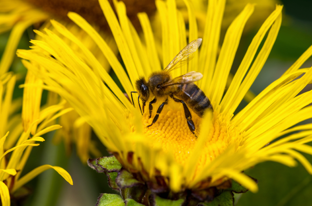 LancsArchives's tweet photo. #BurnleyLibrary Saturday 2 Nov at 2pm
#AccringtonLibrary Saturday 9 Nov at 2pm
Hear professional photographer Andy Pritchard's talk on behalf of #KeepingEastLancsInThePicture about photographing the nature, history, landscapes and wildlife of East Lancs https://t.co/rnEXNfkAIY https://t.co/eaQkxLF5sU