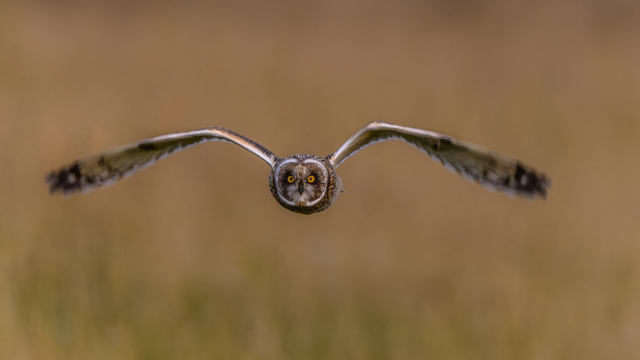 LancsArchives's tweet photo. #BurnleyLibrary Saturday 2 Nov at 2pm
#AccringtonLibrary Saturday 9 Nov at 2pm
Hear professional photographer Andy Pritchard's talk on behalf of #KeepingEastLancsInThePicture about photographing the nature, history, landscapes and wildlife of East Lancs https://t.co/rnEXNfkAIY https://t.co/eaQkxLF5sU