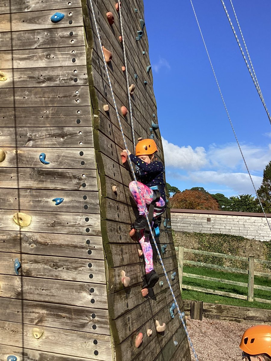 Maple2Class_RE's tweet image. 