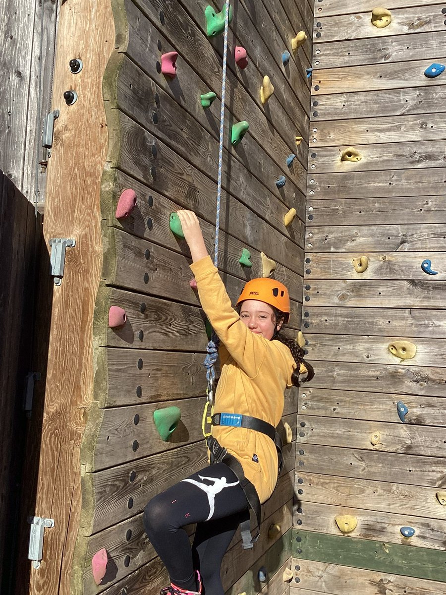 Maple2Class_RE's tweet image. 