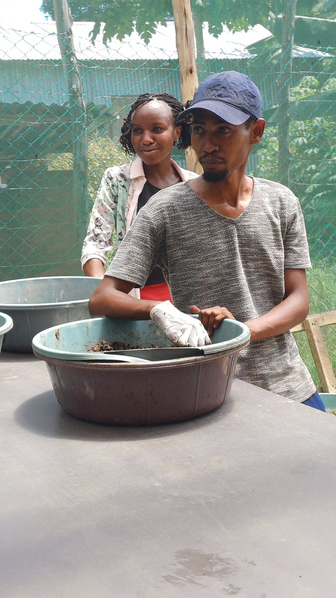 Shaheen Nilofer tweet media