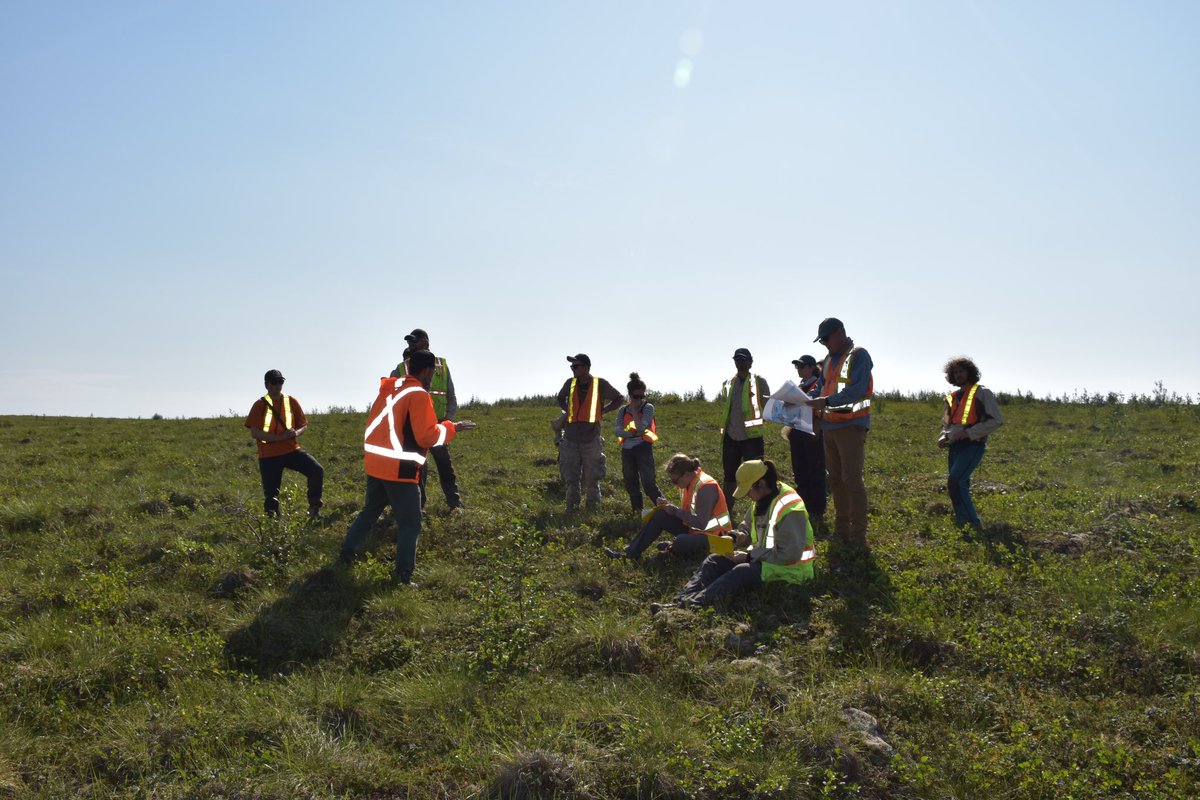 PYRN_official's tweet photo. It’s #PYRNFieldworkFriday 🎊

Today we’re featuring the fieldwork of MSc student Michelle Landry (@OnTheLandry) from the University of Alberta, who conducted research in the NWT and Yukon! 

If you want to be featured too, fill out the form here: 🔗https://t.co/RBV56kKFRv https://t.co/yKERQvqVBz