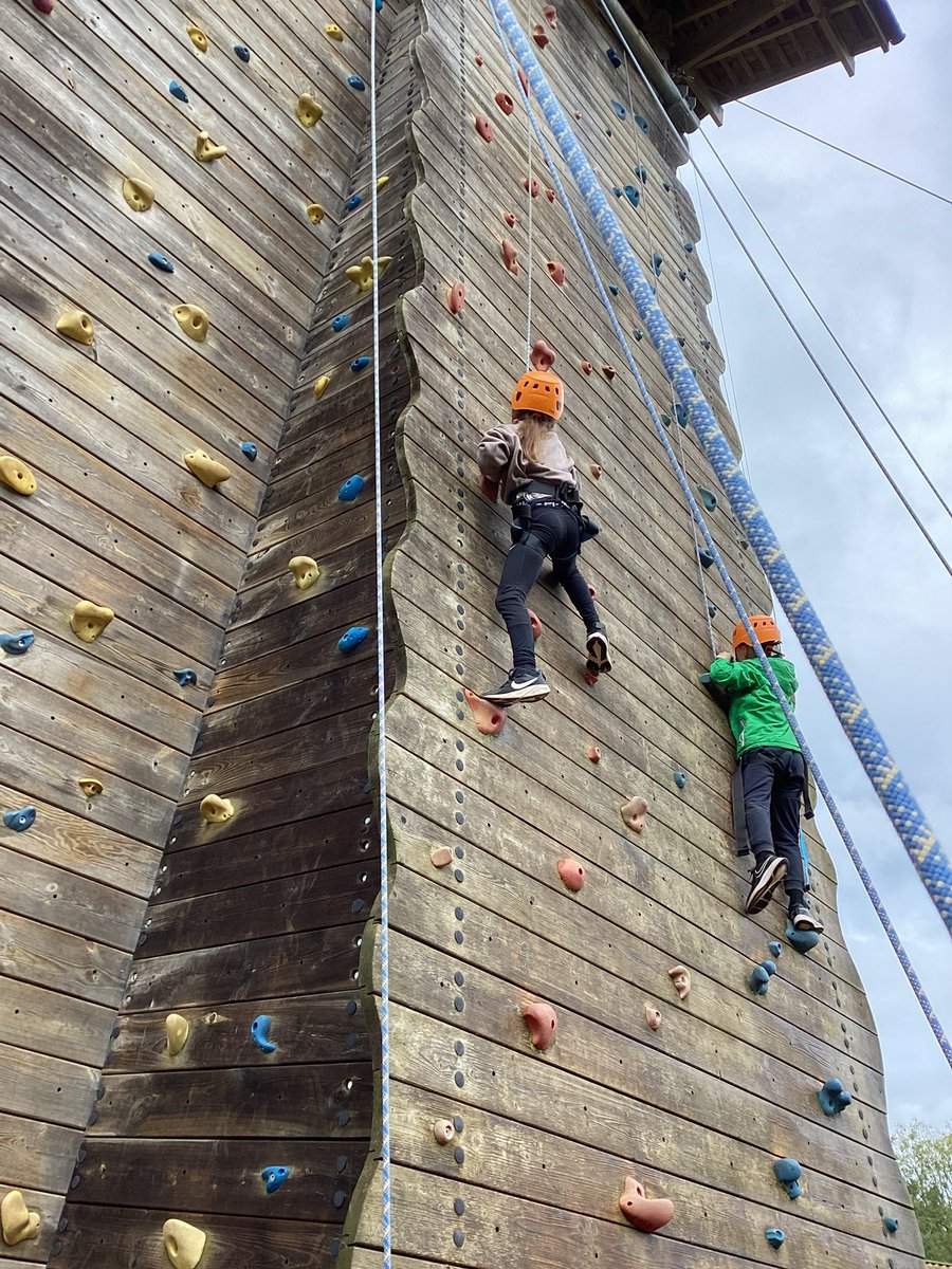 Maple2Class_RE's tweet image. 