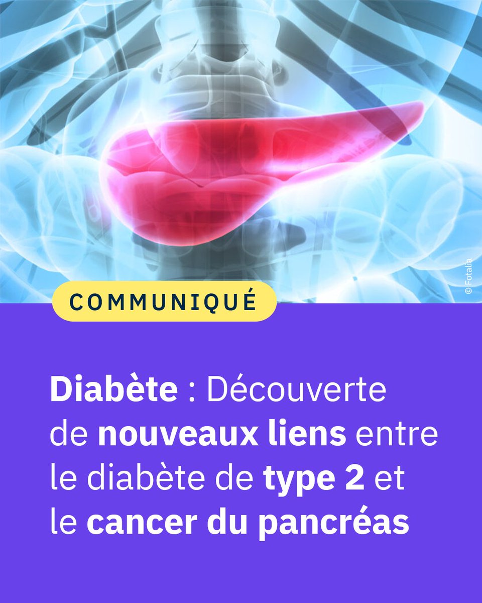 #Communiqué 🗞️| Découverte de nouveaux liens entre le diabète de type 2 et le cancer du pancréas ! 🔬
Une étude qui implique notamment des scientifiques de l'unité #EGENODIA  
➡️hauts-de-france.cnrs.fr/fr/cnrsinfo/di…