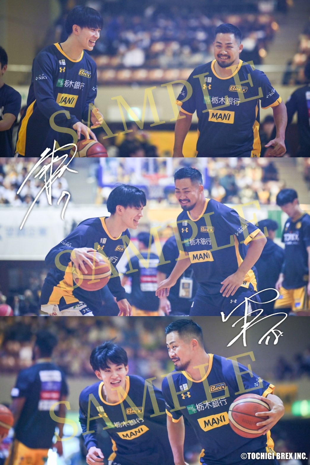 united tokyo ダージリンパイピングベスト united tokyo ダージリンパイピングベスト united tokyo