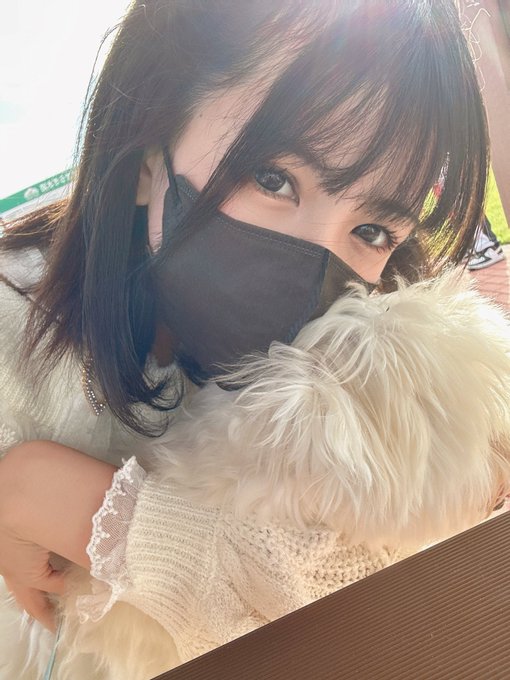 宝来れなのTwitter画像3