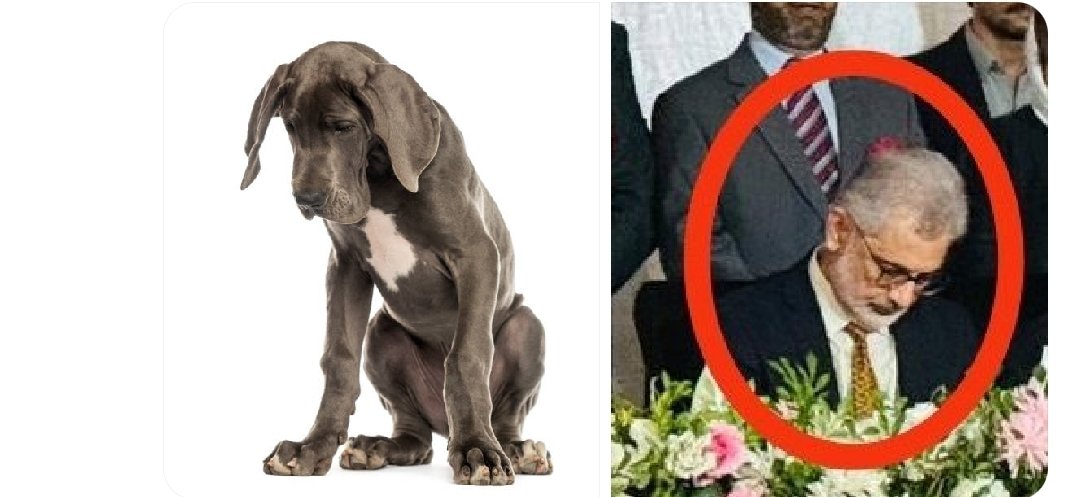 ایک جملہ اس پر پاکستانیو ؟؟