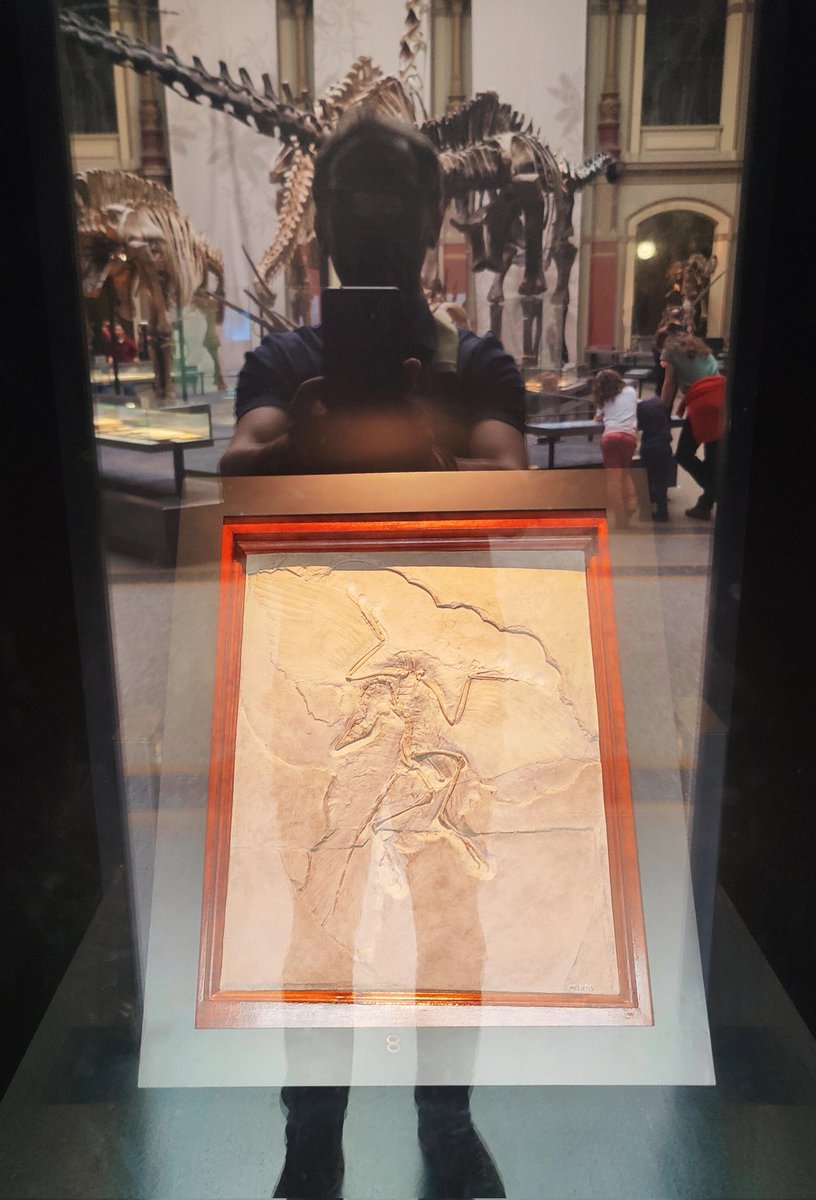 My first visit to Archaeopteryx in Berlin