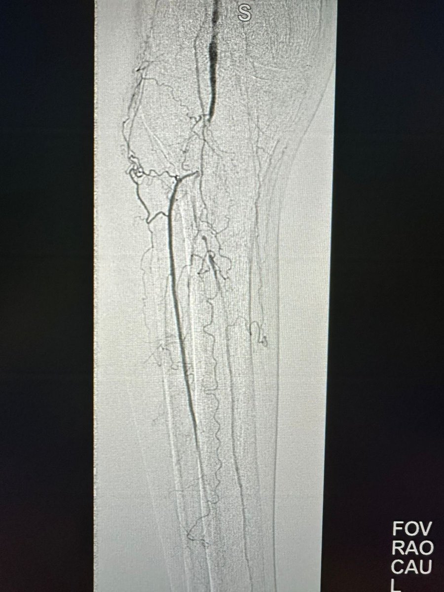 د.سلطان رباح الحربي | Dr. Sultan R.Alharbi tweet media